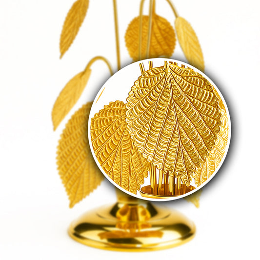 Grewía Leaf Planter small Size